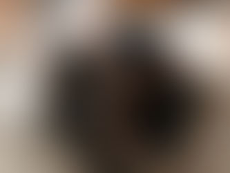 Sizzling Sidewalks & Cool Paws: Your Guide to Hot Pavement Dog Safety