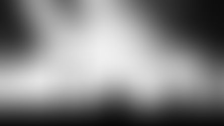 Nothing Was Ever Out of Place