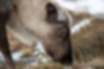 Image by Andreas Vonlanthen