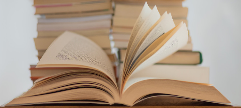 Image by Elisa Calvet B.