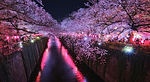 Image by Takashi Miyazaki