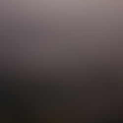 6 Tage Los Angeles im August für 710€ pro Person!