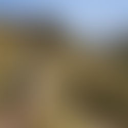 Trim Your Trek: 15 Smart Hacks to Slash Your Backpacking Weight