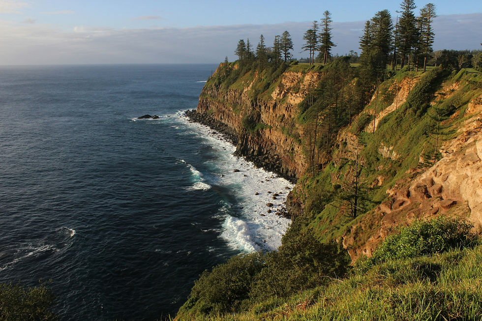 Sunlit ocean cliffs with tall pine trees, waves crashing below, and a calm blue sky over the rugged coastline of Norfolk Island.