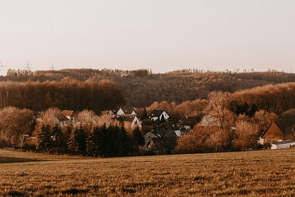 Image by Giorgi Iremadze