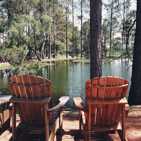 why you need a agent