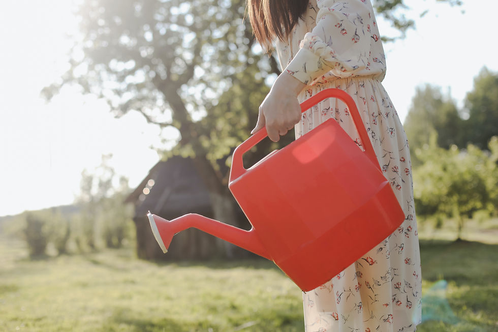 A woman with a watering can, watering plants outside on a sunny day