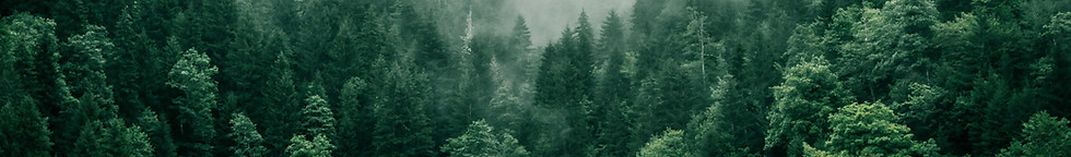 Image de Marita Kavelashvili