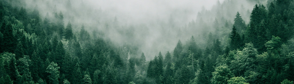 Image by Marita Kavelashvili