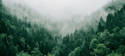 Image by Marita Kavelashvili