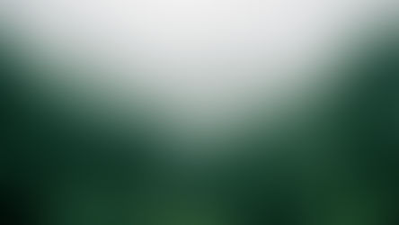 EE Sözlük: Ormansızlaşma(Deforestasyon)