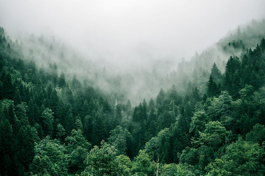 Image by Marita Kavelashvili