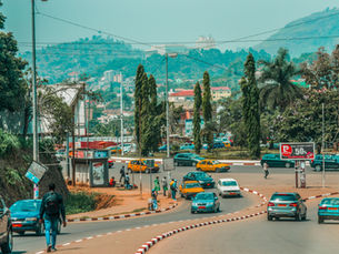 Cameroon: The Business System at the Heart of Central Africa