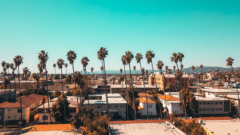 Image by Drew Dau