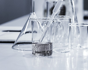 Image de Hans Reniers