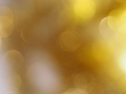 Image by Jess Bailey