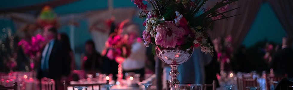 Image de HamZa NOUASRIA