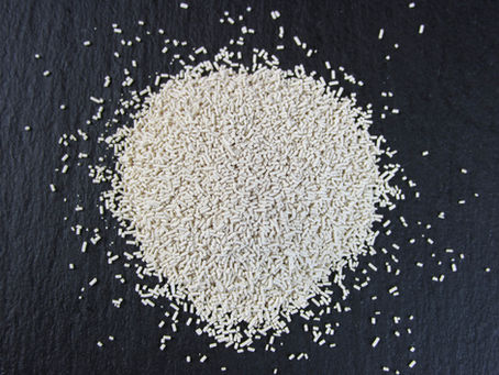 Fermentation 101: How to Know if Your Brew Is Really Working