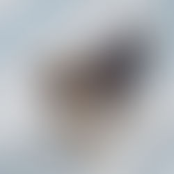 Small pug wearing a sweater stands on snow while attached to a blue leash on a winter walk.