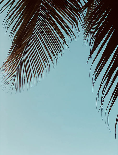 Image by Vi Vi