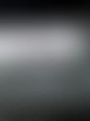 Banning Abortion and the Potential Increase in the Maternal Mortality Rate