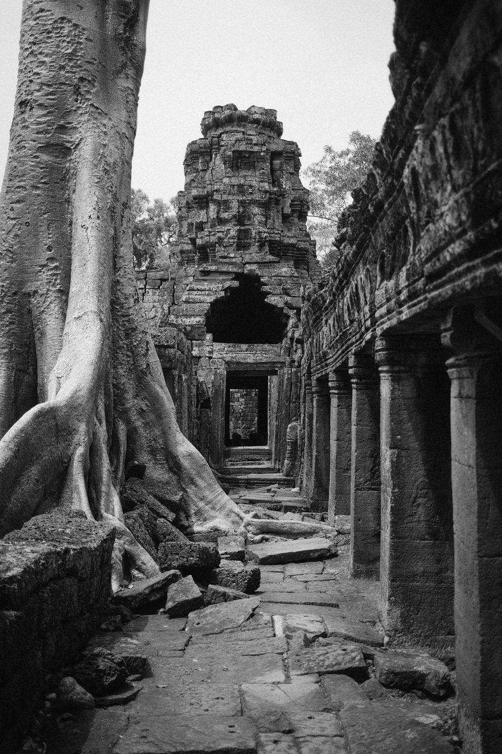 Image by Niklas Neumann