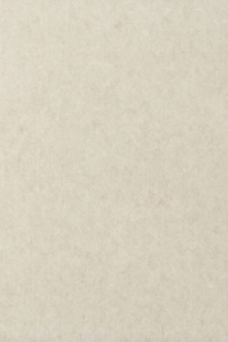 Image by Safwan Thottoli