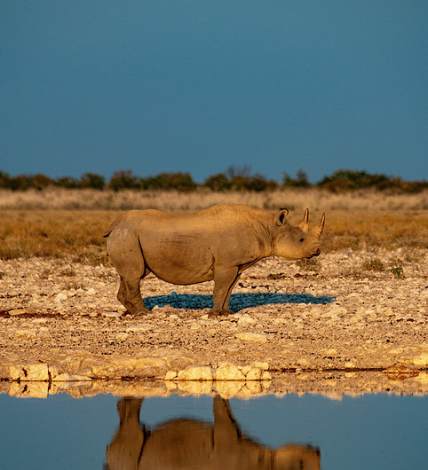 Image by Taylor Wright