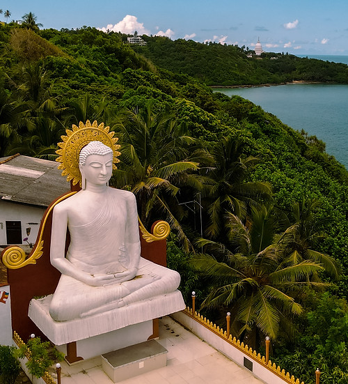 Image by Siarhei Palishchuk