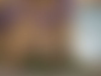 The Art of Living in Provence-Alpes-Côte d’Azur