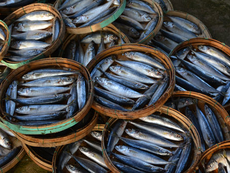 Is Sustainable Seafood More Expensive? A Cost Comparison
