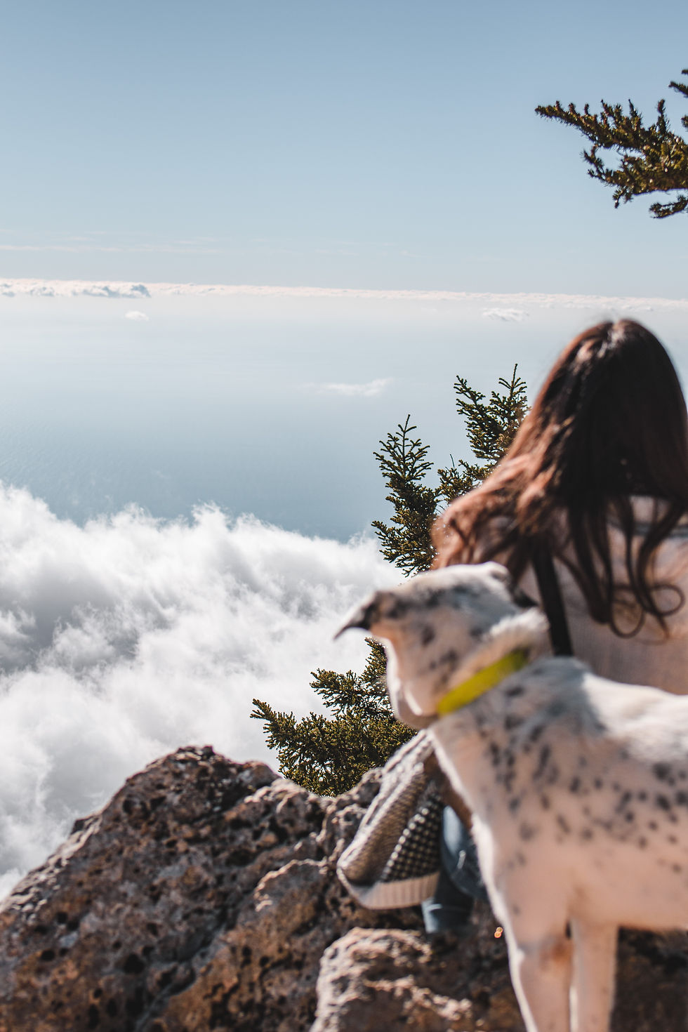 Challenges and Triumphs: Navigating Prosocial/Pro Bono I/O Psychology Terrain