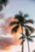 Image by Kvnga