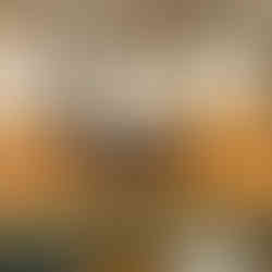 NYC cookies worth the calories — Mr Plane Guy’s pick for the best bakery treats in New York.