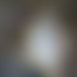 ✨🐧 Meet the Emperor Penguin: The Iconic Winter Fluffball!