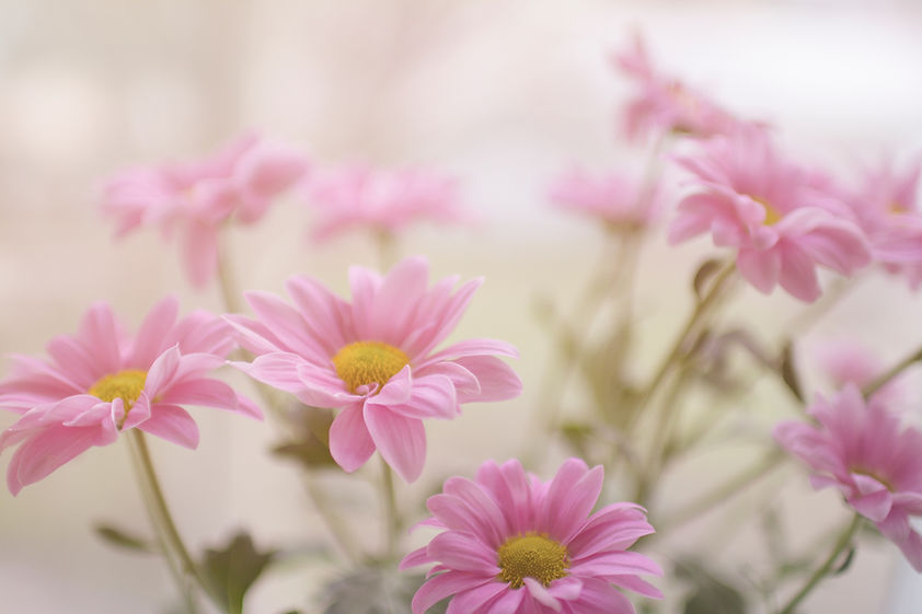 Image by Rodion Kutsaiev