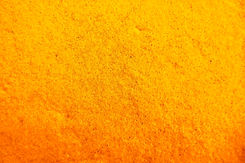 polvere pompia essiccata