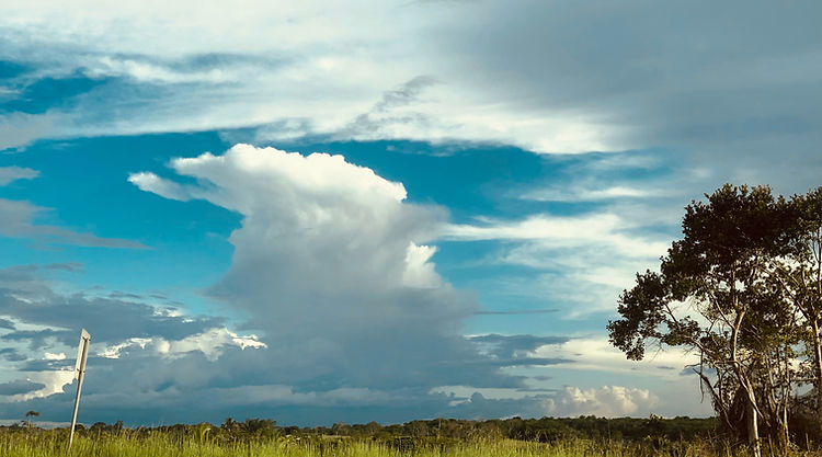 French Guiana