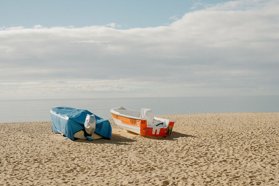 Image by Mitchell Orr