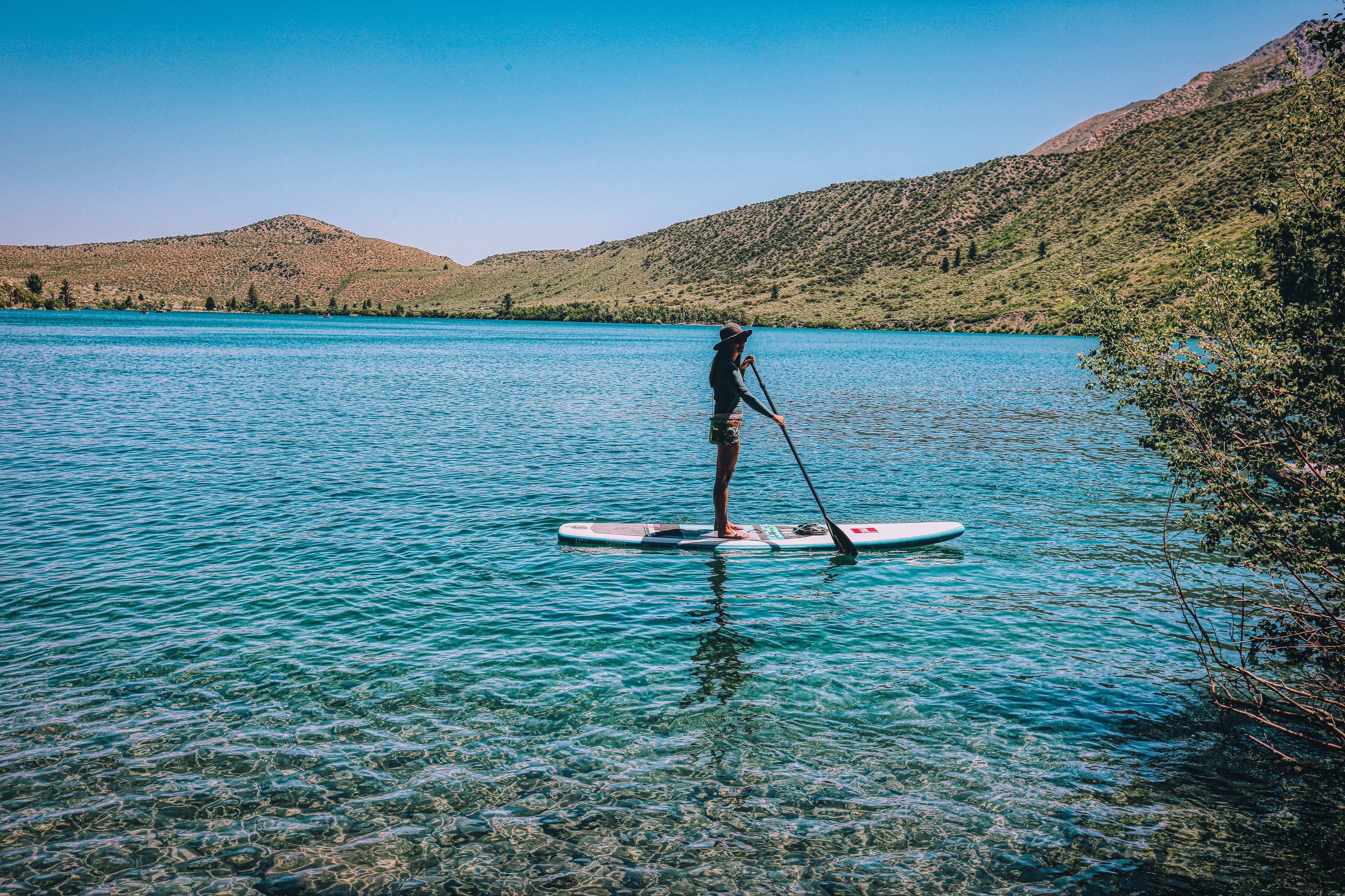 Picnic & Paddle: Trout Lake