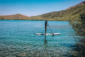 Image by Mick Haupt