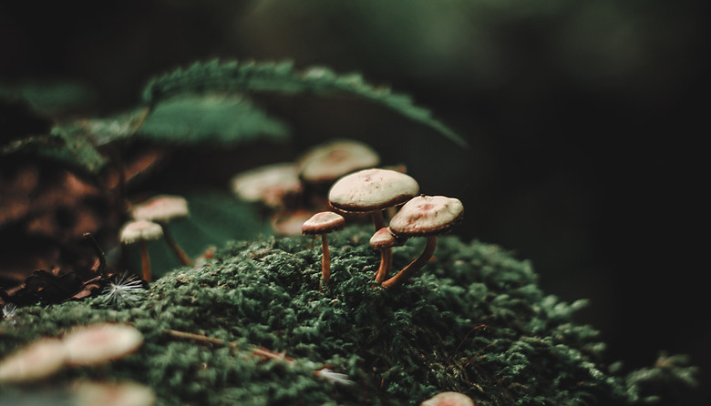 Image by Alexx Cooper