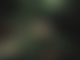 Unraveling the Mysteries: How Psychedelics Shape the Brain