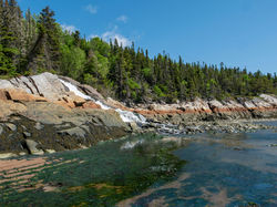 Image de Raphael Assouline