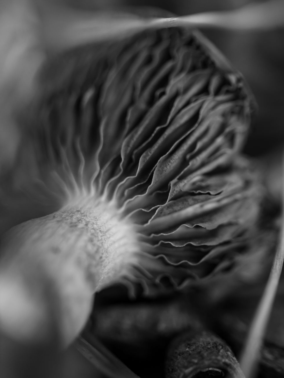 Image by Sonny Sixteen