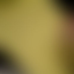 The James Patterson Principle: Why Your Legal Pad Might Be Your Best Productivity Tool