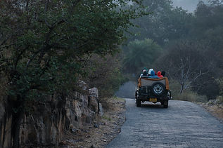Image by Lakshmi Narasimha