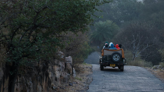 Tiger Safari Ranthambore