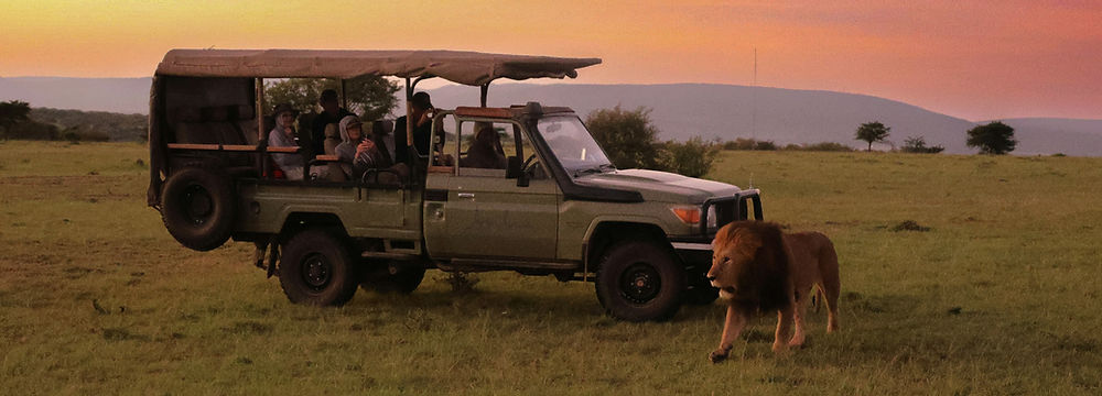 safari depuis zanzibar