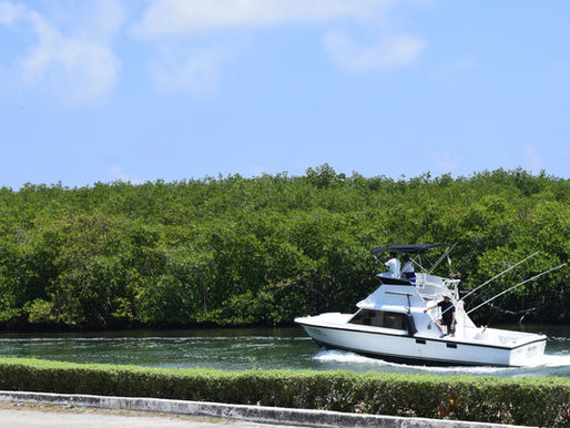 Charter Fishing